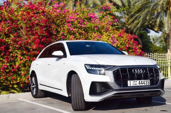  White Audi Q8 Photo 